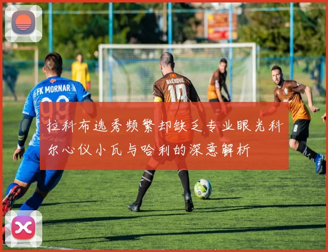 拉科布选秀频繁却缺乏专业眼光科尔心仪小瓦与哈利的深意解析